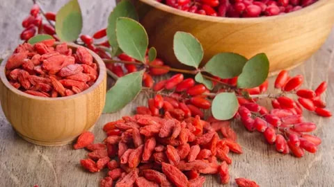 تصویر 3 از قیمت خرید زرشک پفکی قائنات  با فروش عمده